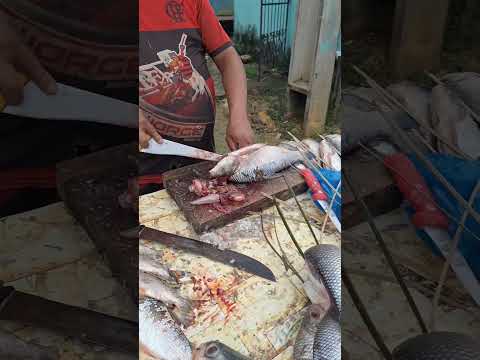 Comprando peixe curimatã no Cacau Pirêra em Iranduba Amazonas