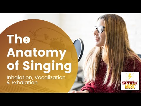 The Anatomy of Singing: How the Diaphragm, Larynx, and Vocal Folds Work