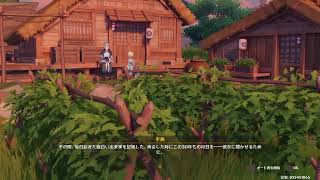 [原神]　初めての原神　＃28