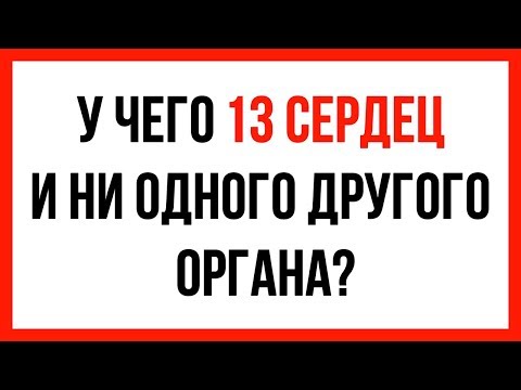 37 непростых загадок, которые будут держать мозг в тонусе