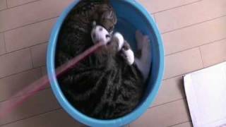 God bless you and the wonderful work that you are doing.