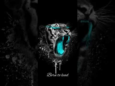 The Jaws Of The Tigre (REMIX)