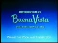 Buena Vista Distribution Logos