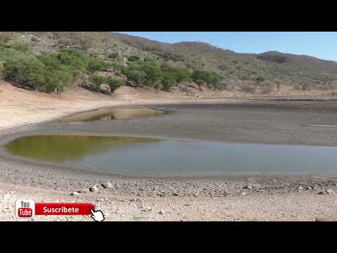 Zapotitlan Lag,Oax  mp4 La Laguna Mexquite Se Esta Terminando El Agua 8 De Marzo Del 2024 Parte 2