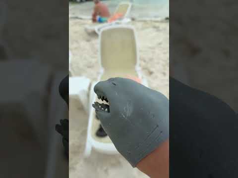 Vă iubesc Familia Ido; ați fost buni cu mine 😢😘 Part 2 cu plecarea lui rechinul 🦈#shorts