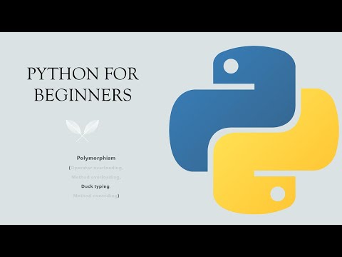 23 Python For Beginners Polymorphism Duck Typing In Python
