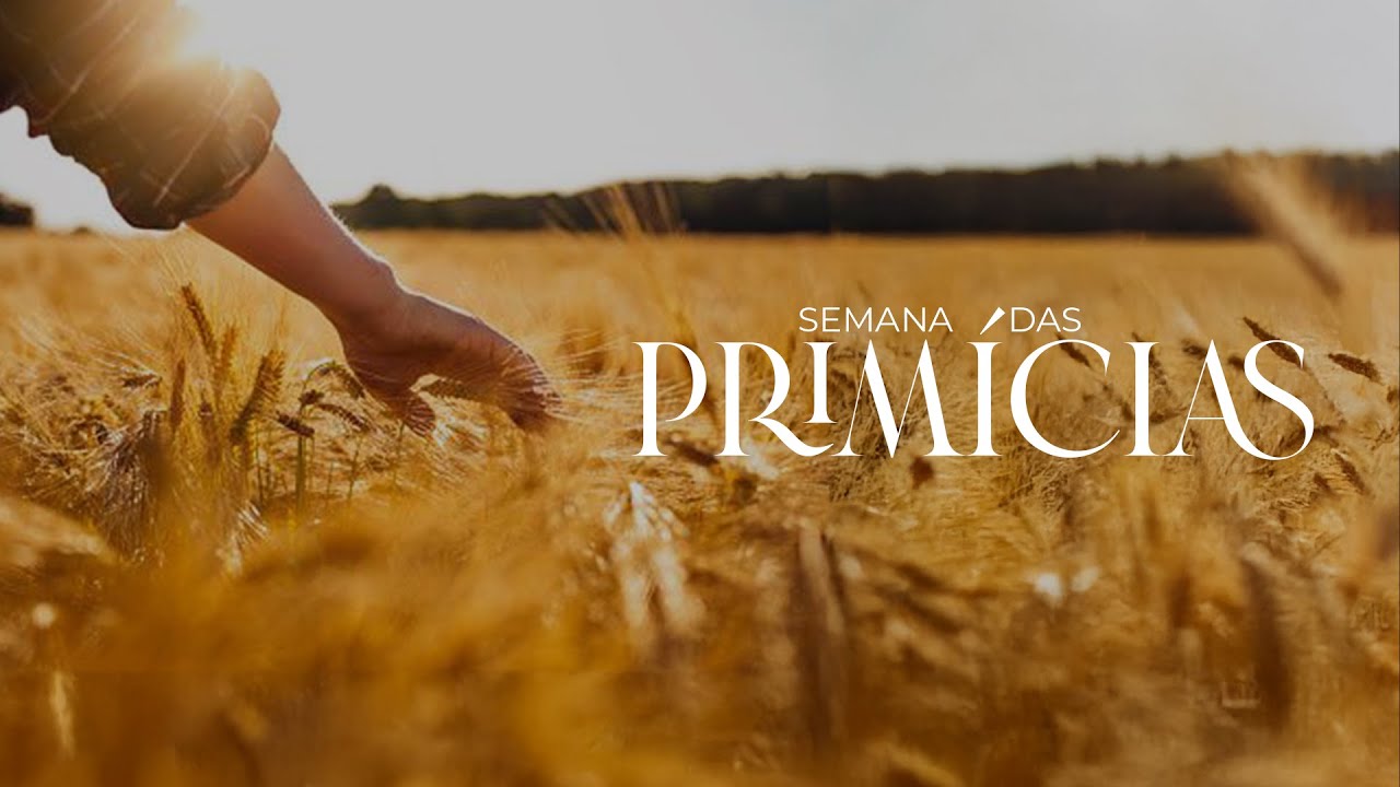 7° DIA PRIMÍCIAS - AP. ANDRÉ STEIL - 09/ 01/2025