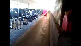 REAL Ontario Farmer - Automatic Grain-Mix Feeder