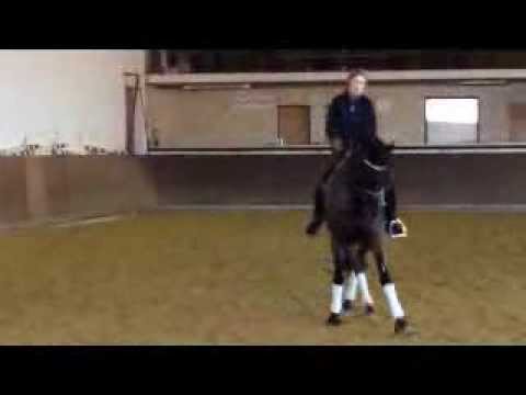 Rubina Bella 27.02.2014