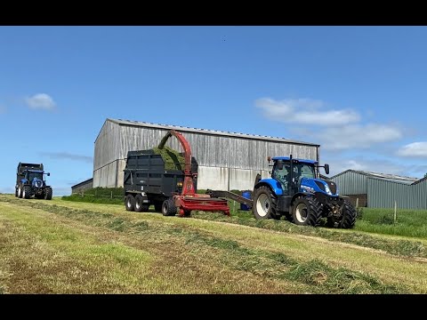 Cumbrian Silage 2023. Lifting first cut with New Hollands and the ‘Big’ drag chopper.