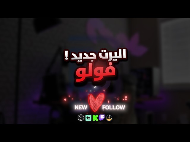 اليرت فولو