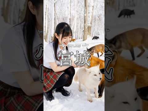 探索宮城：旅遊景點推薦 #制服 #uniform