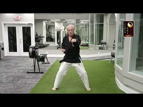 Basics: Full Twist Punch – Shihan Rod Lindgren