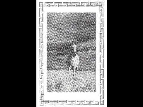 NS King - Taming of White Stallion