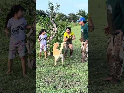 El video que le está dando la vuelta al mundo