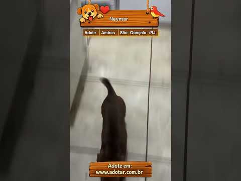 Vídeo de Neymar 