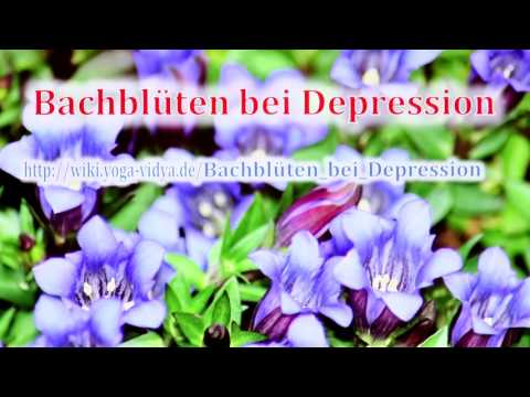 Bachblüten bei Depression