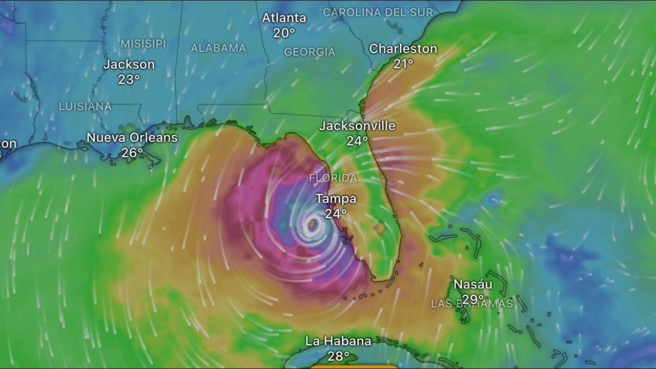Chilena en Tampa, Florida, explica cómo se preparan para la llegada del huracán Milton en EE.UU.