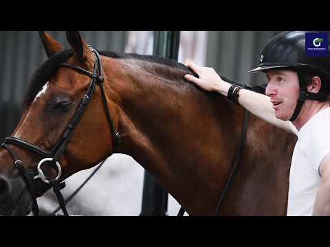 GregBroderick Ballypatrick Stables