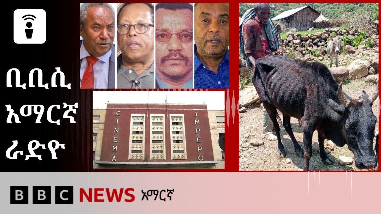 የጥቅምት 03፣ 2019 ዓ/ም የቢቢሲ አማርኛ የቀጥታ ሥርጭት