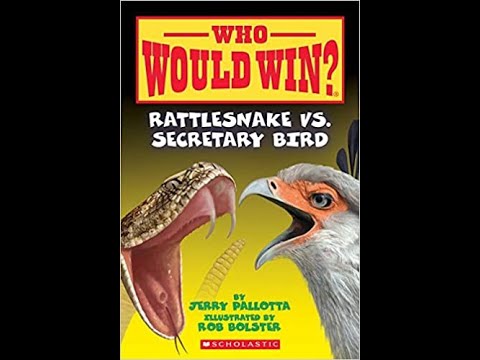 YouTube video about: Who would win rattlesnake vs. secretary bird?