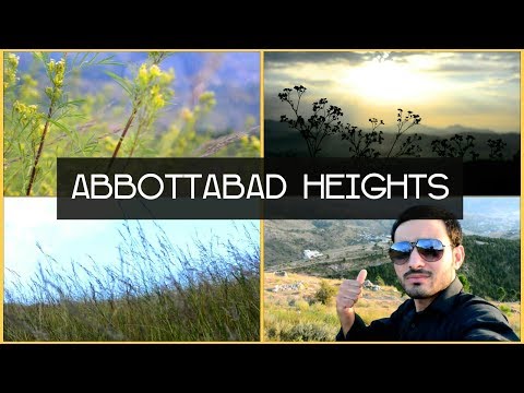 Kakul Hills | Heart of Abbottabad | Cinematography | Vlog#5 By Basit Ali