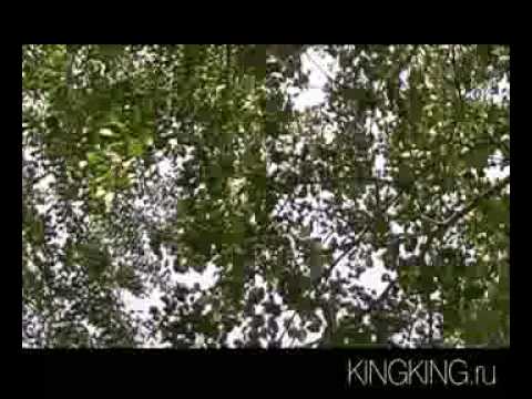 Зубы на полке