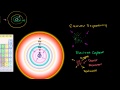 Supernova (Supernovae) Video Tutorial