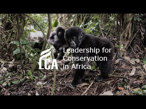 Re-imagining wildlife in conservation practice