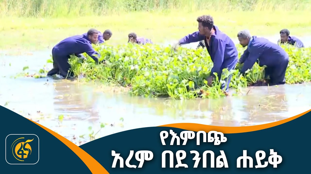 የባቱ ከተማና የደንበል ሐይቅ ቁርኝት