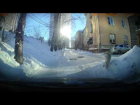 ZippO   Каждое Утро Cut Ver by Prod Nasty