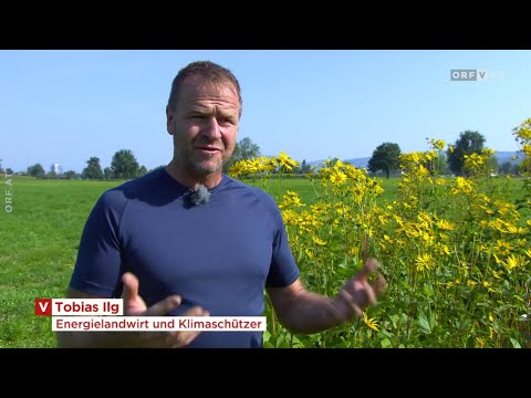 "Grüner" Beton aus Dornbirn  - Ein Innovation von Tobias Ilg, Energielandwirt