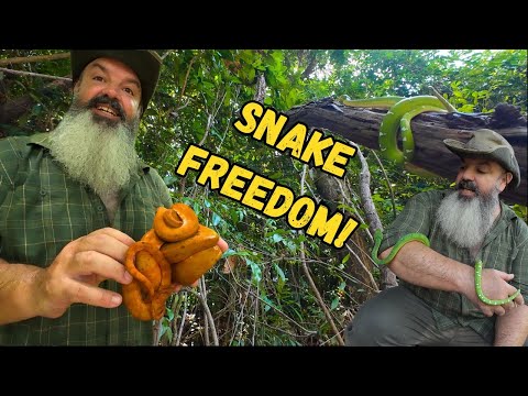 Hiding Snakes From Hunters in the Amazon Jungle: PART TWO