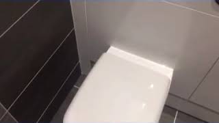 Album cover: Bathroom Videos