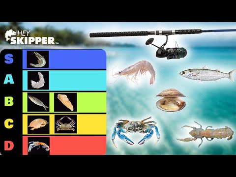 Fishing Bait Tier List! (Ranking the Best Baits)
