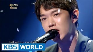 Kevin Oh - Still You Are My Love | 케빈오 - 아직도 그대는 내 사랑 [Immortal Songs 2 / 2017.09.02]