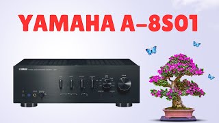 Video thumbnail for Yamaha A-S801 Natural Sound! by Potato Fi Reviews