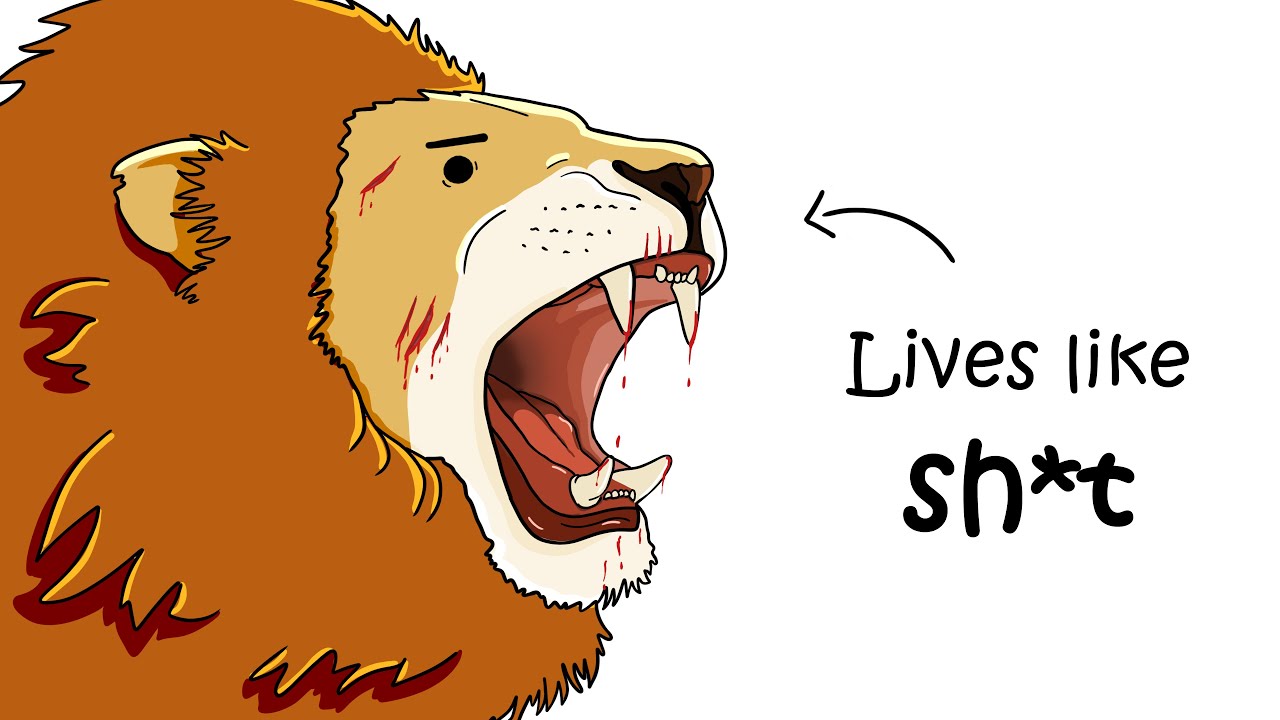 Why It Sucks to Be Born as a Lion