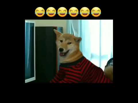 이것은 개인가 프로게이머의 환생인가..?