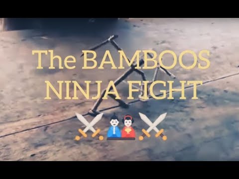 The Bamboos Of Ninja Fighting On The Table....