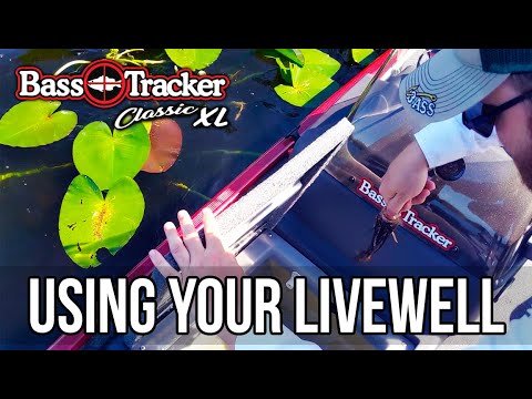 How To Use Your Livewell - Catch And Demo (Bass Tracker Classic XL)
