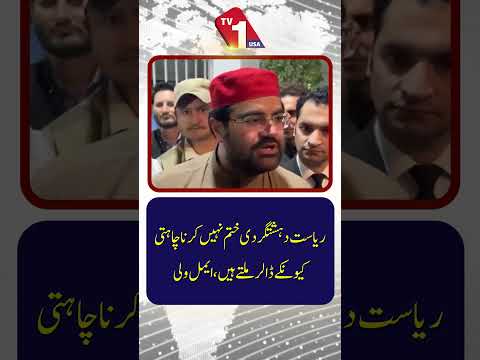 ایمل ولی کا دہشت گردی اور ڈالروں کے حوالے سے الزام