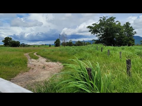 Fazenda em Morro Agudo de Goiás - #shorts