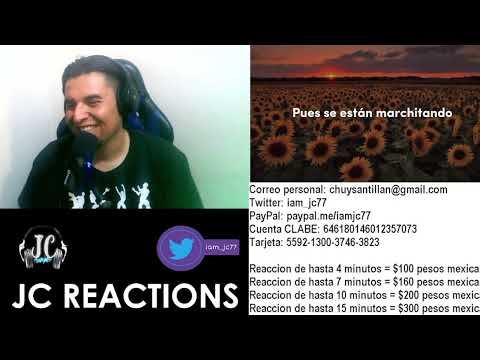| REACCION | Nasa Histoires - Girasol
