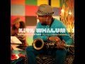 Kirk Whalum - Someday We'll All Be Free