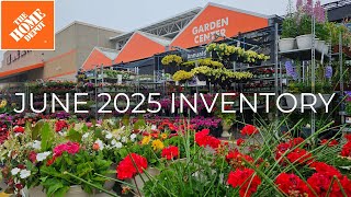NEW ARRIVALS Home Depot Garden Center June 2025 Inventory. Perennials, Shrubs & Annuals