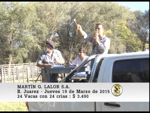 Venta de Vientres - Martin G. Lalor S.A. - B. Juarez. 19-03-2015