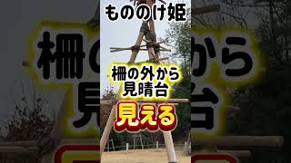 【ジブリパーク】チケット無くても色々なエリアを見て回れます！楽しんで遊び尽くした#ジブリパーク#長久手 #ジブリ女子