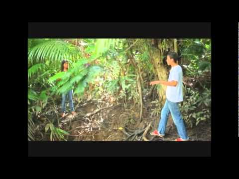 Bola pra Frente, Educação pra Gente.wmv