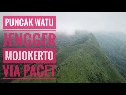 PUNCAK WATU JENGGER MOJOKERTO VIA JALUR ANGKER PACET | #JejakMarangga 27
